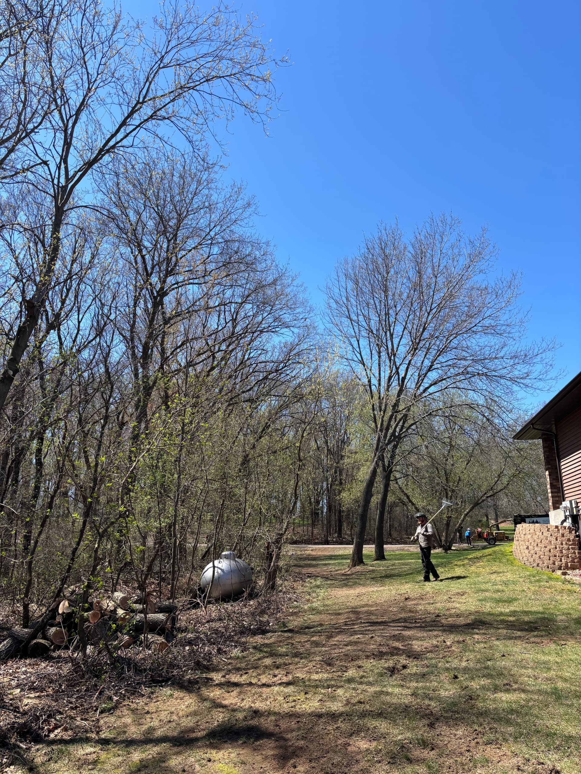 Gallery photos for 5 Hazard Trees Removed Near a Home and Propane Tank: Image #2