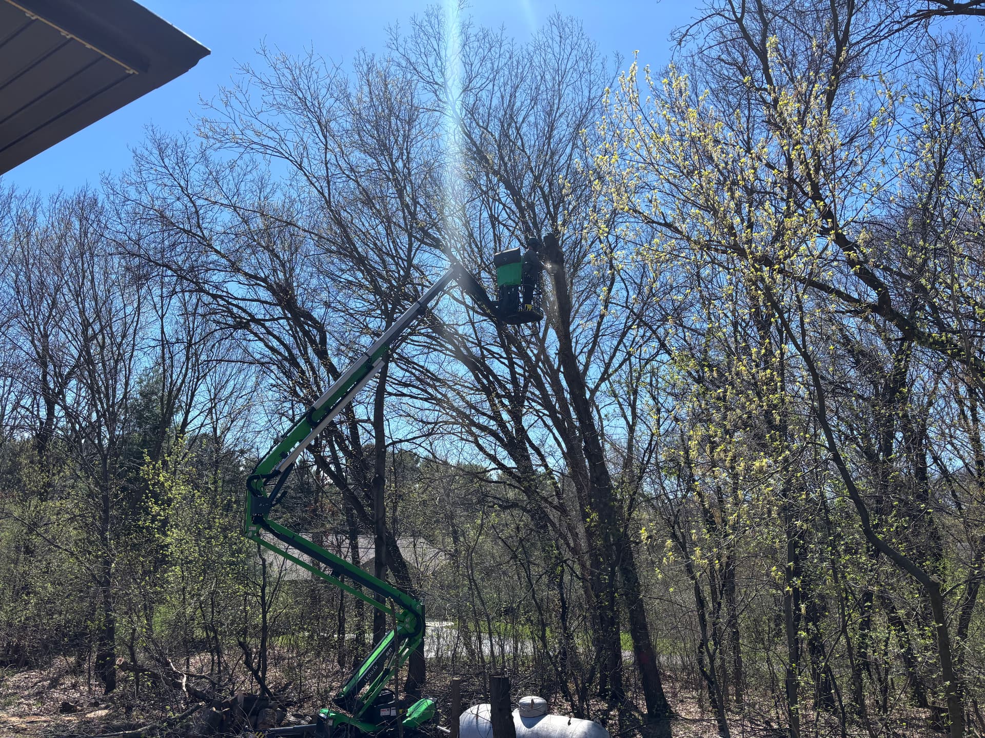Gallery photos for 5 Hazard Trees Removed Near a Home and Propane Tank: Image #1