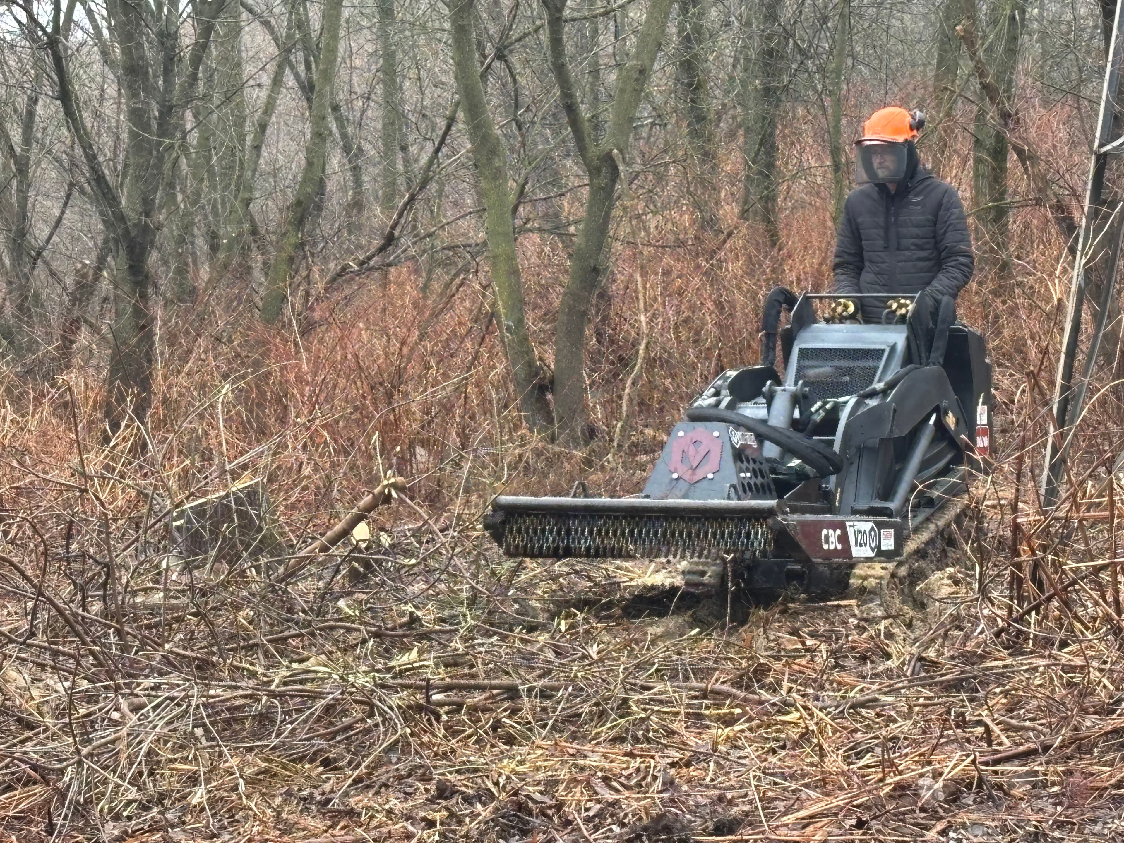 Project Mini Skidsteer Brush Cutter Tears Through Overgrown Wooded Land image