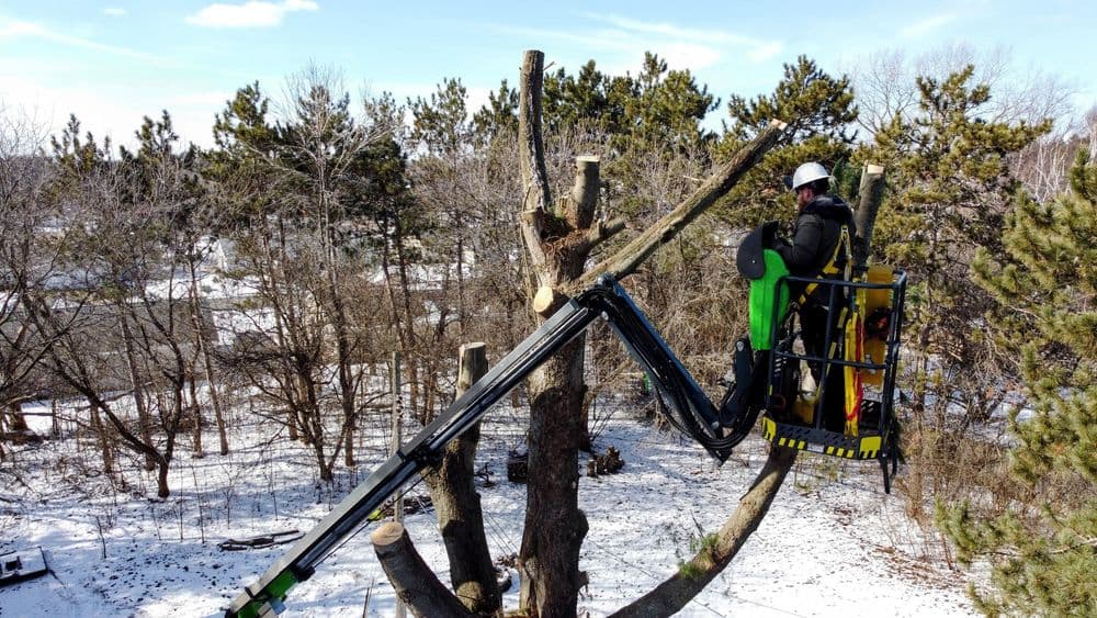 Tree removal service operating aerial lift in snowy forested area. Safety gear worn.