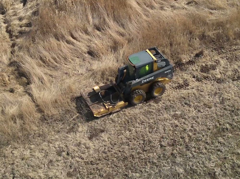 Skid steer loader clearing overgrown grass in a field.