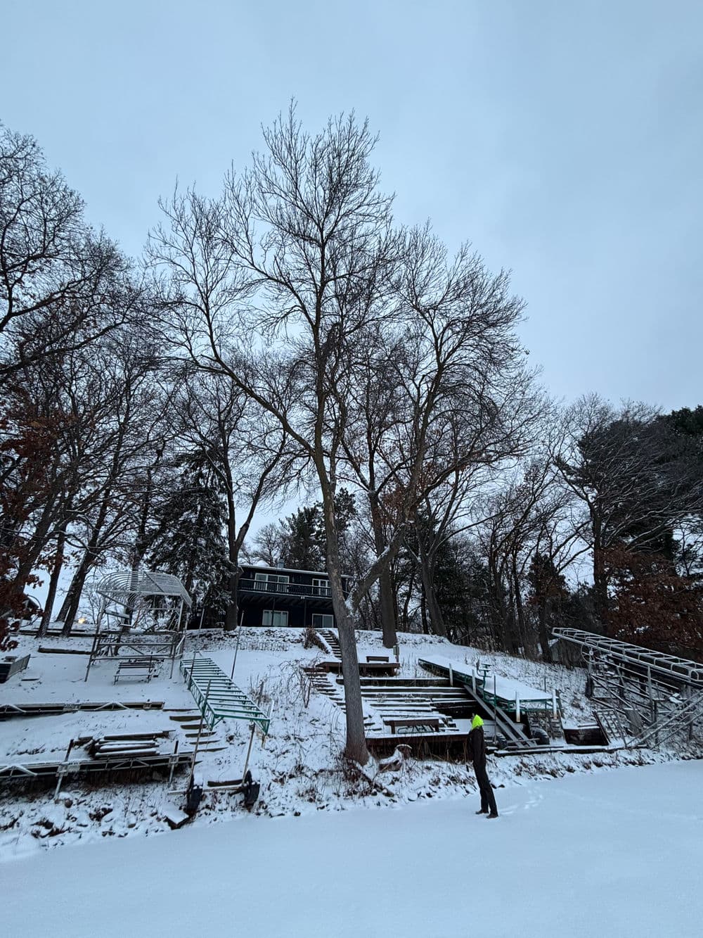 Snowy landscape featuring a large tree and a modern house amidst bare trees and bleachers.