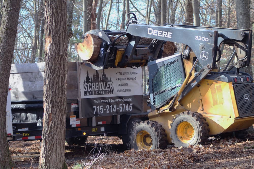 Deere skid steer loader lifting logs into a trailer in a wooded area for land services.
