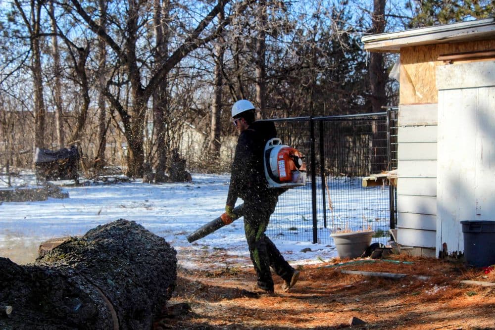 Gallery photos for 80ft White Pine Safely Removed in Eau Claire: Image #7