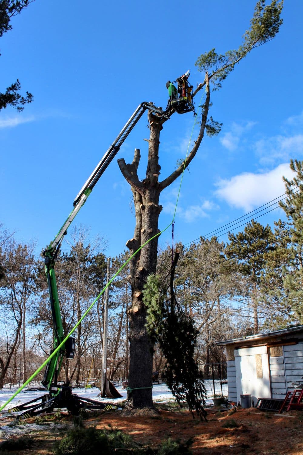 80ft White Pine Safely Removed in Eau Claire