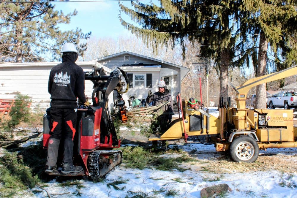 Gallery photos for 80ft White Pine Safely Removed in Eau Claire: Image #6