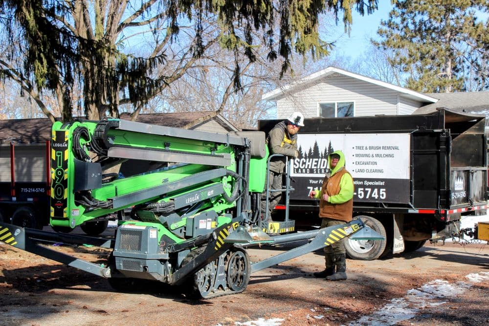 Gallery photos for 80ft White Pine Safely Removed in Eau Claire: Image #9