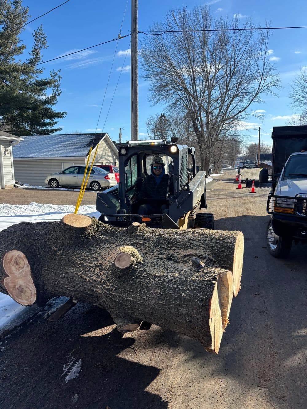 Gallery photos for 80ft White Pine Safely Removed in Eau Claire: Image #11