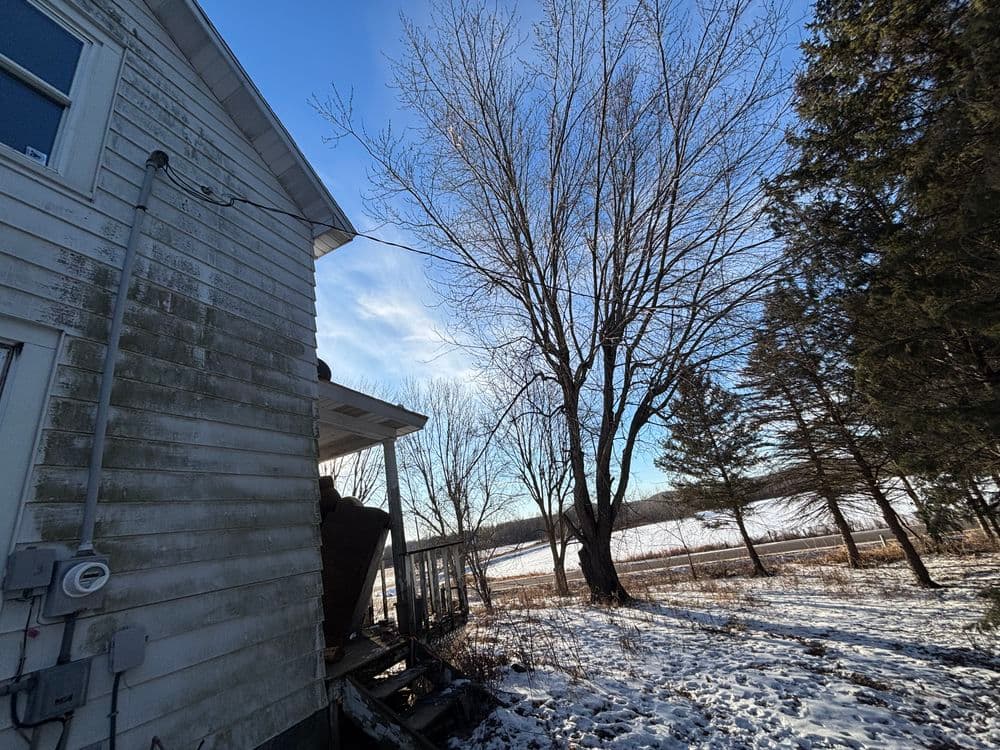 Tree Removal Success in Chippewa Falls