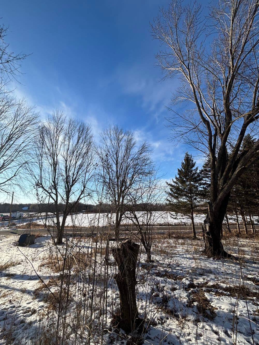 Project Tree Removal Success in Chippewa Falls image