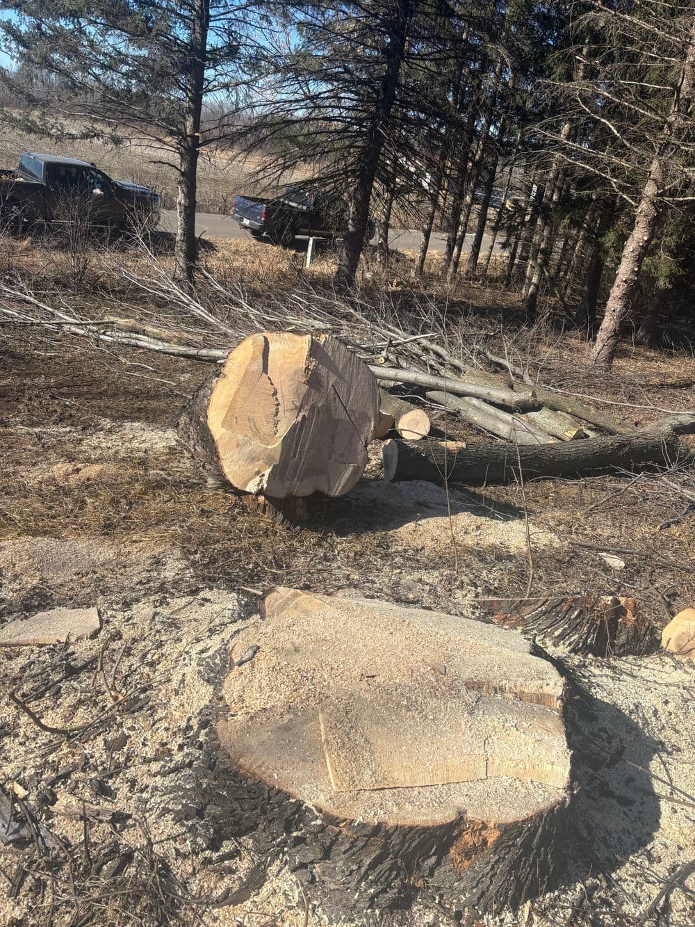 Gallery photos for Tree Removal Success in Chippewa Falls: Image #5