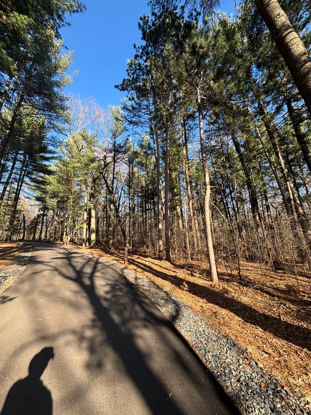 Gallery photos for Efficient Land Clearing in Eau Claire WI: Image #6