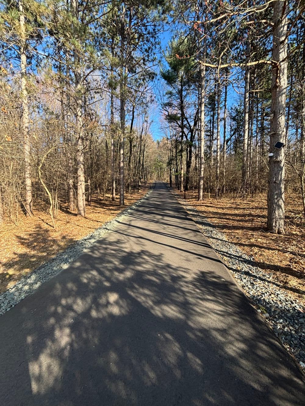 Efficient Land Clearing in Eau Claire WI