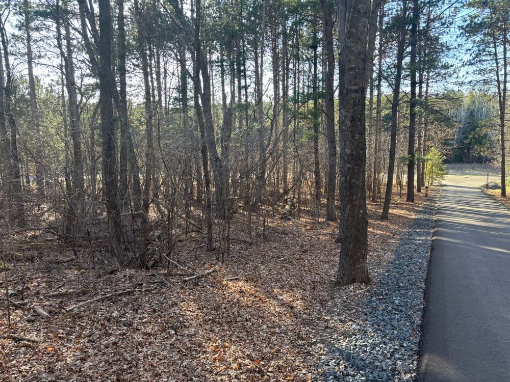 Efficient Land Clearing in Eau Claire WI