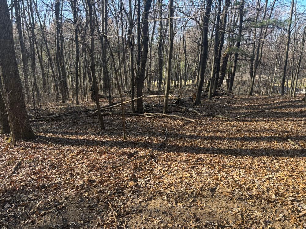 Efficient Land Clearing in Eau Claire WI