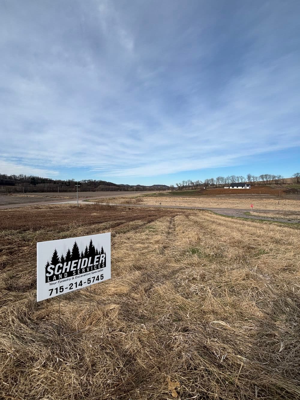 Efficient Brush Clearing with Skid Steer Mower in Arcadia