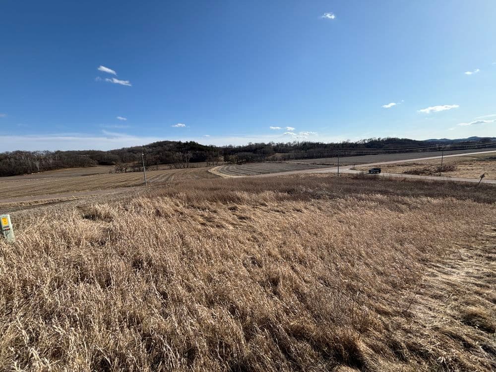 Efficient Brush Clearing with Skid Steer Mower in Arcadia