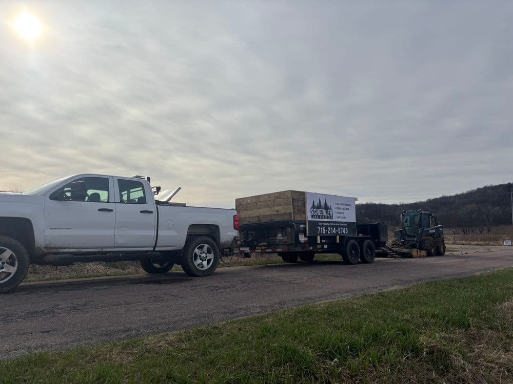 Efficient Brush Clearing with Skid Steer Mower in Arcadia