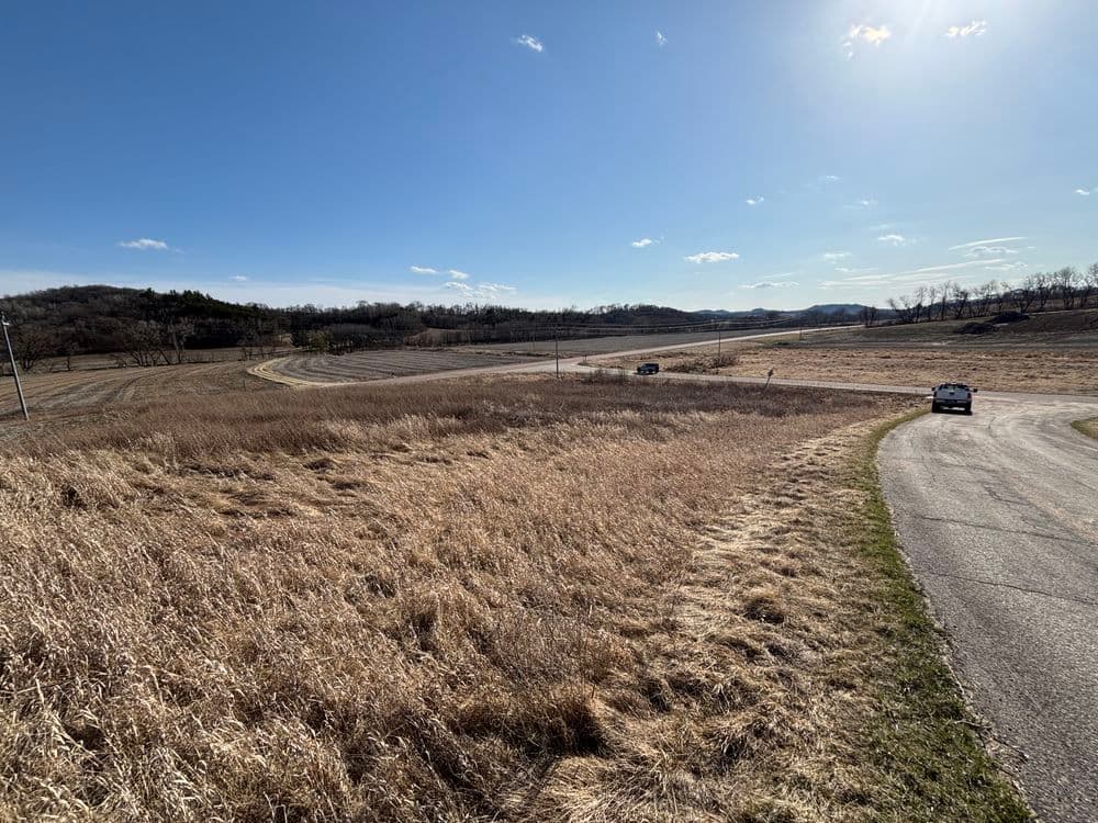Efficient Brush Clearing with Skid Steer Mower in Arcadia
