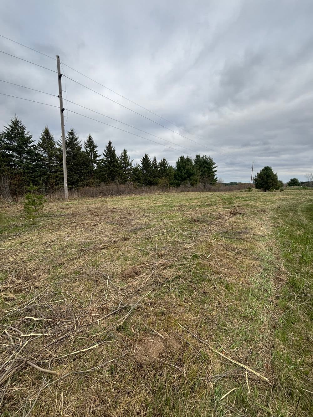 Gallery photos for Brush Clearing in Eau Claire: Image #4