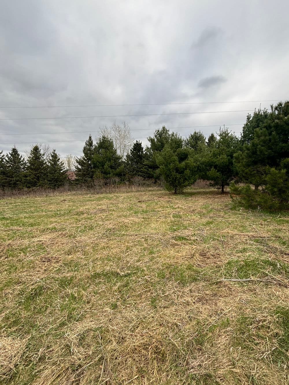 Gallery photos for Brush Clearing in Eau Claire: Image #3