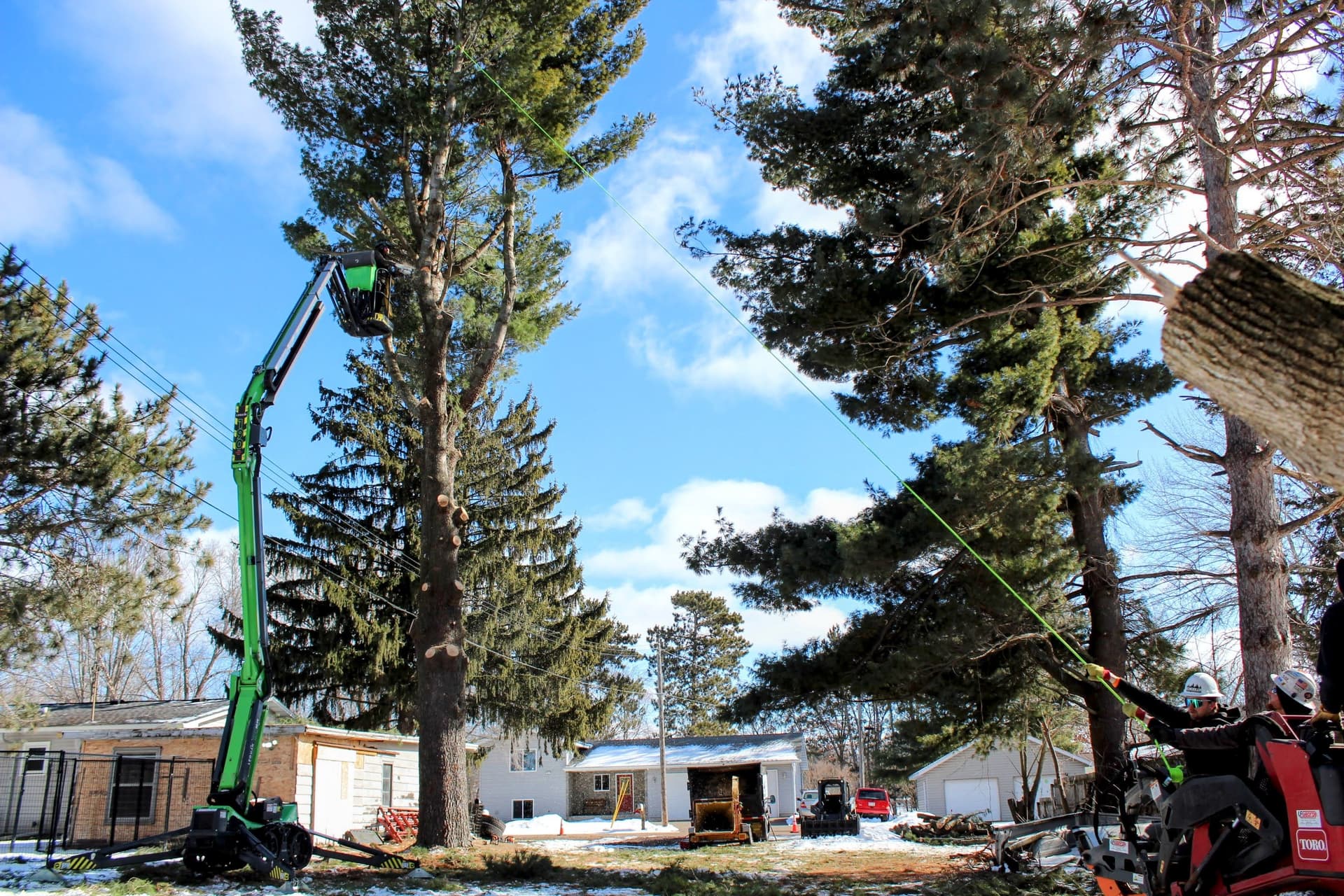 Gallery photos for Safe Tree Removal of Giant Pine: Image #2