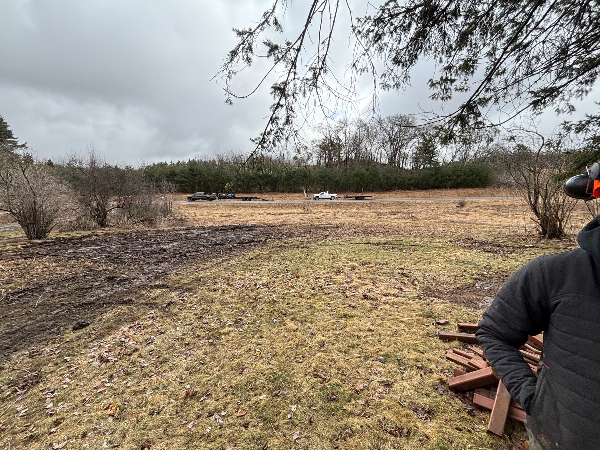 Gallery photos for Mini Skidsteer Brush Cutter Tears Through Overgrown Wooded Land: Image #1