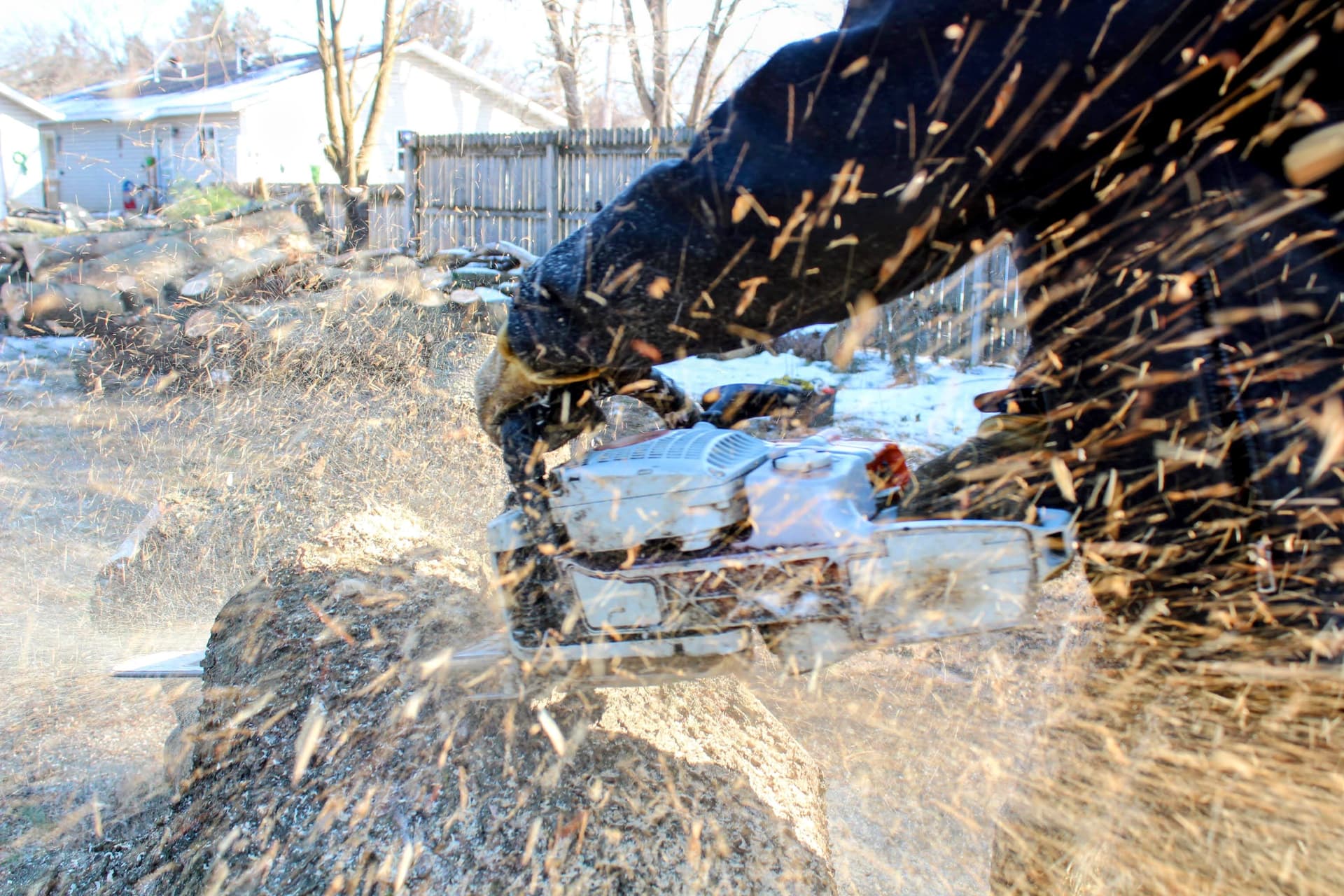 Gallery photos for Safe Tree Removal of Giant Pine: Image #3